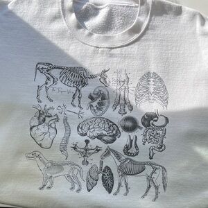 Veterinary Anatomy Design Crewneck